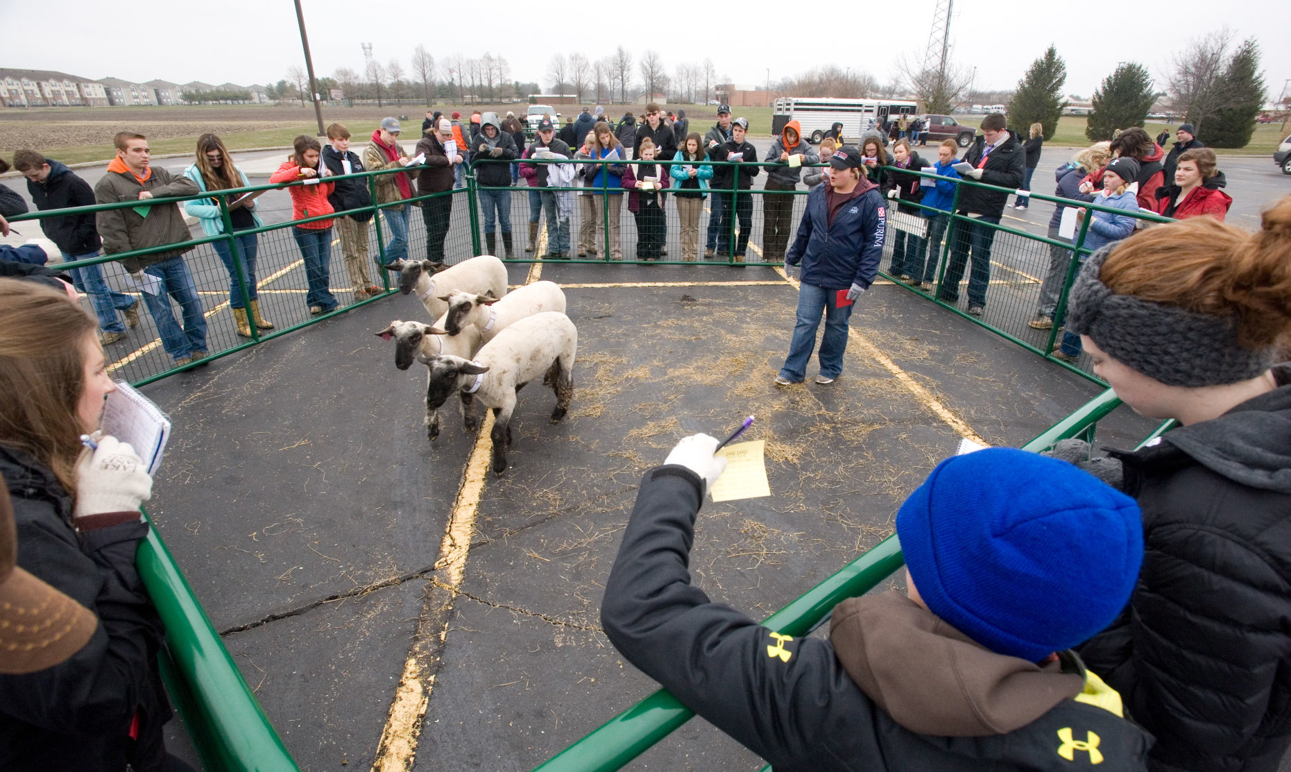 Livestock Judging 03/17/18